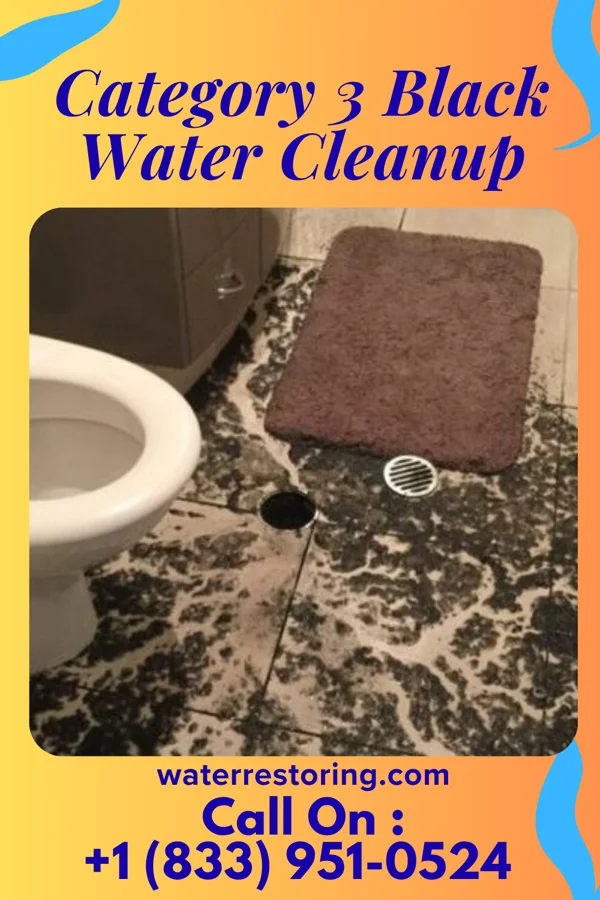 Category 3 Black Water Cleanup in Hewlett Harbor, NY