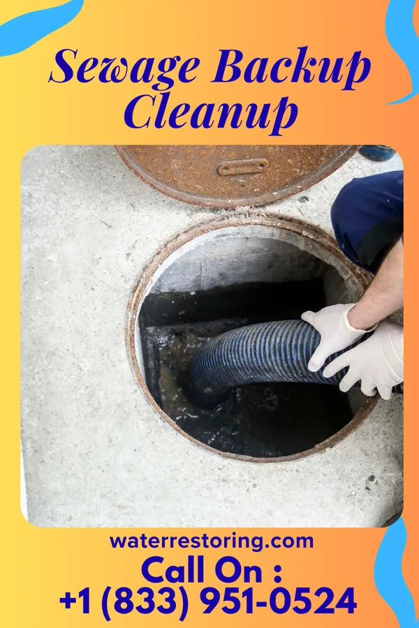 Sewage Backup Cleanup in Hewlett Harbor, NY