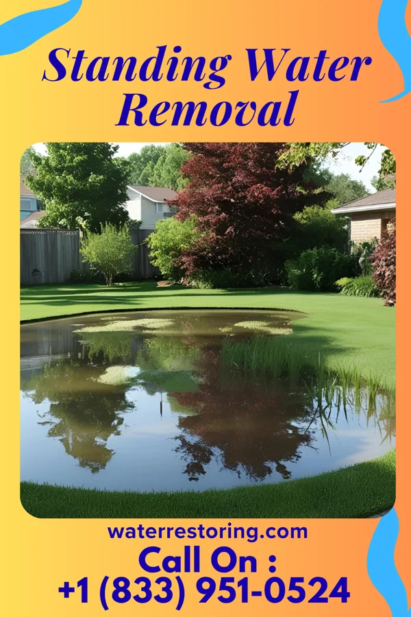 Standing Water Removal in Hewlett Harbor, NY